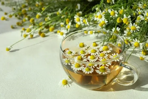 Chamomile Dreams